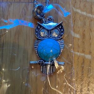 Silver and Turquoise Owl Pendant Necklace